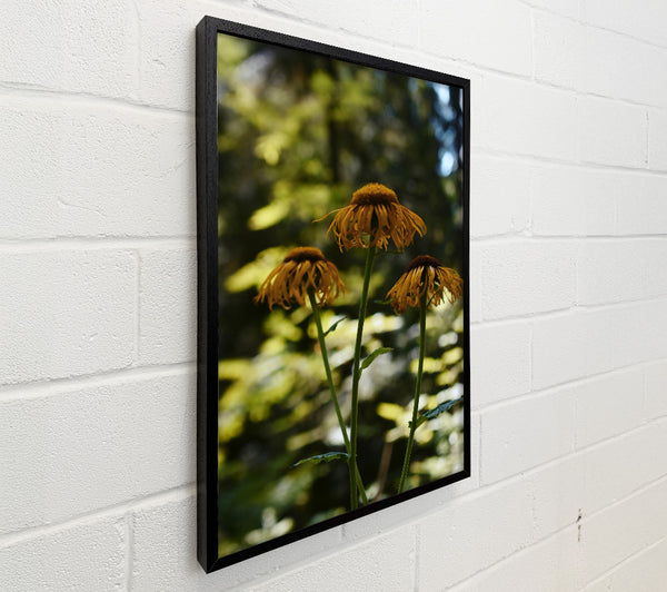 Golden Forest Blooms