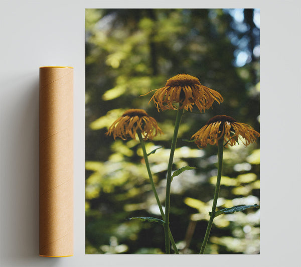 Golden Forest Blooms Giclee Print