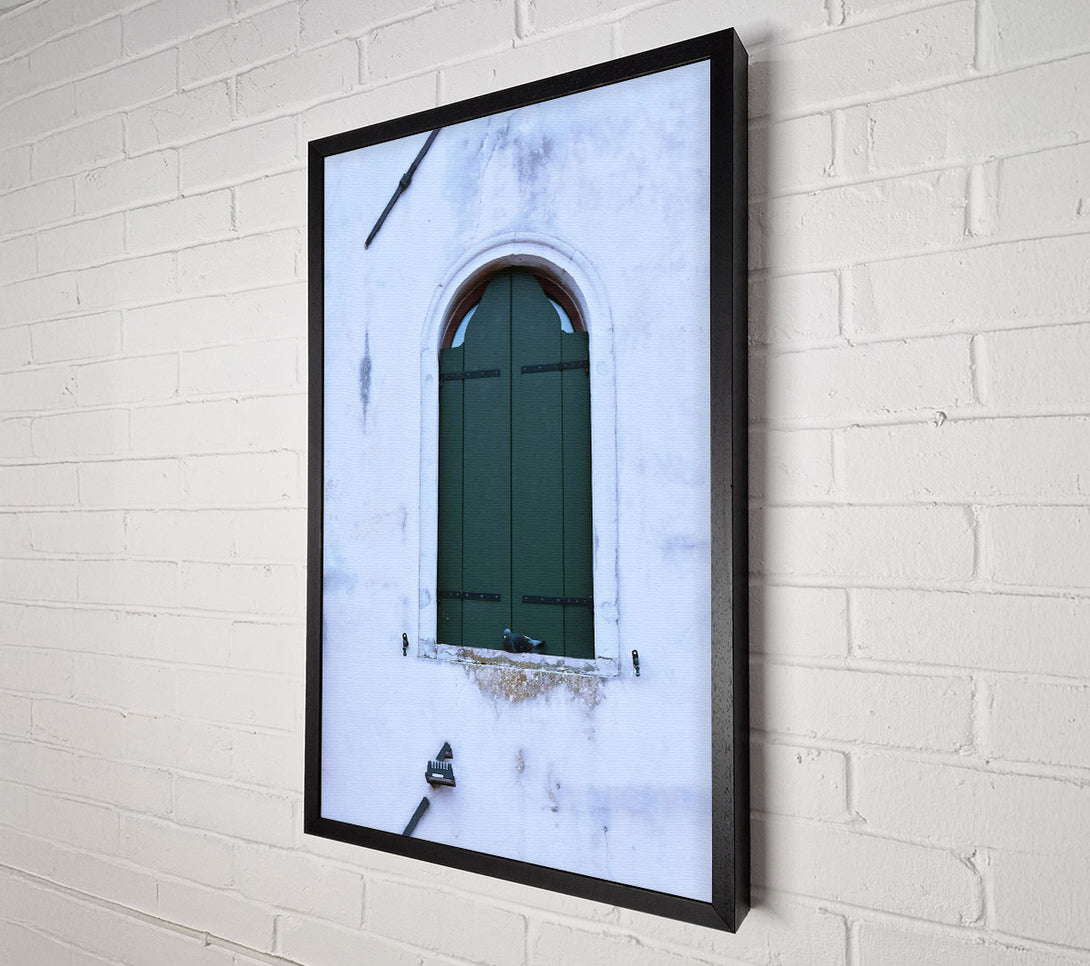  A Canvas Print of Green Shutters And A Dove Canvas Print