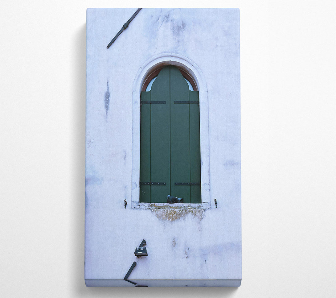  A Canvas Print of Green Shutters And A Dove Canvas Print