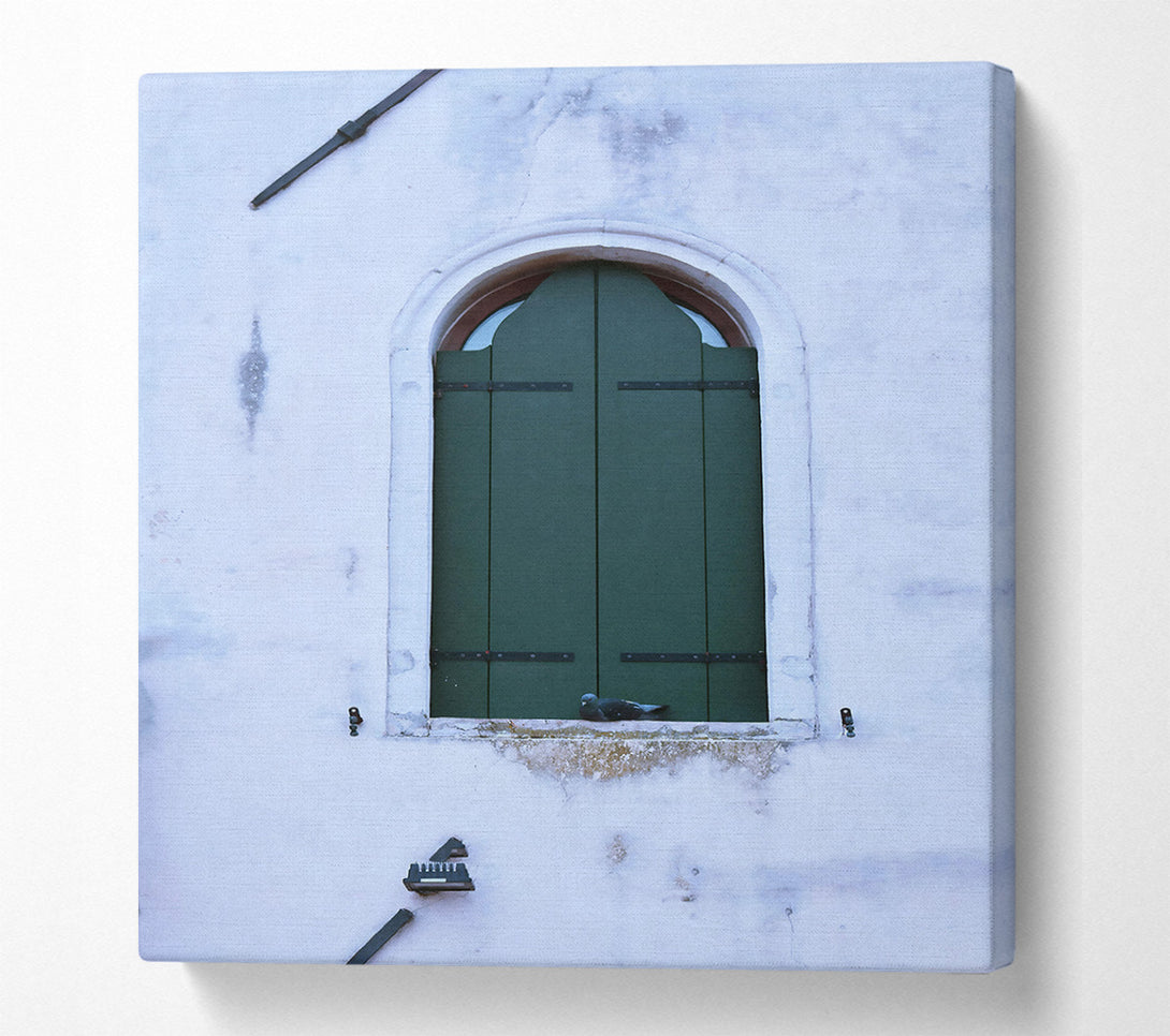 A Canvas Print of Green Shutters And A Dove Canvas Print