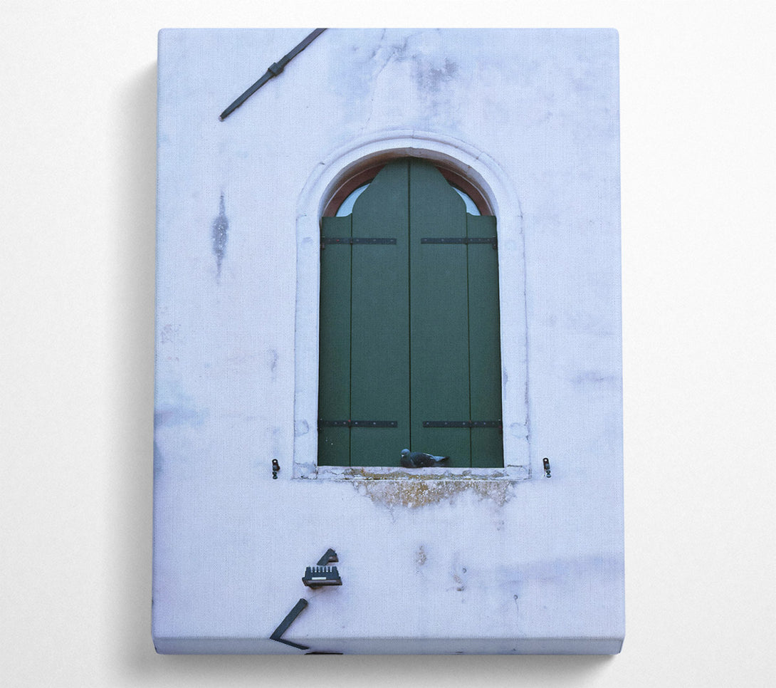 A Canvas Print of Green Shutters And A Dove Canvas Print