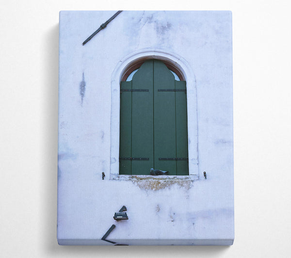  A Canvas Print of Green Shutters And A Dove Canvas Print