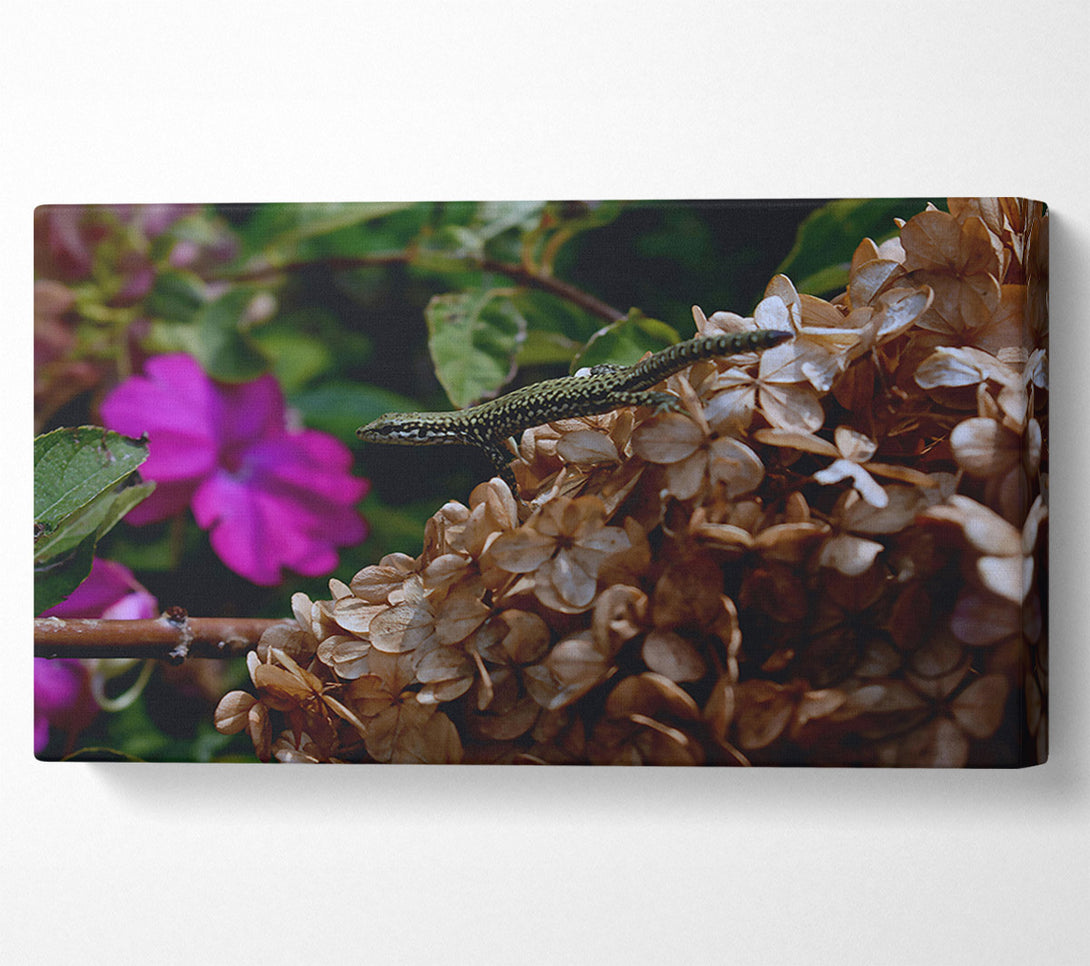  A Canvas Print of Brown Flower Lizard Canvas Wall Art