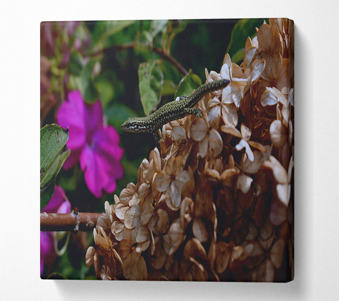  A Canvas Print of Brown Flower Lizard Canvas Wall Art