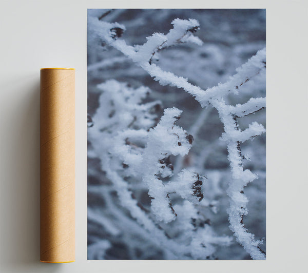 Frozen Blue Branches Print