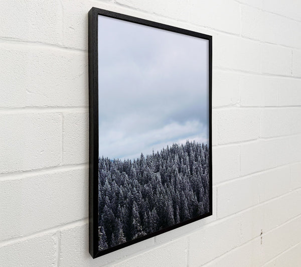 Silver Winter Forest