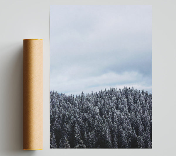 Silver Winter Forest Poster