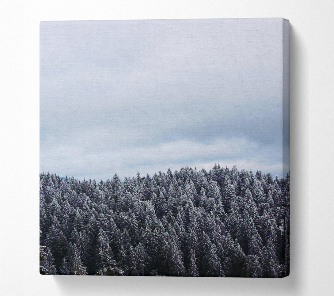  A Canvas Print of Silver Winter Forest Canvas Wall Art
