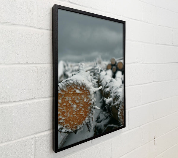 White Frost On Wood