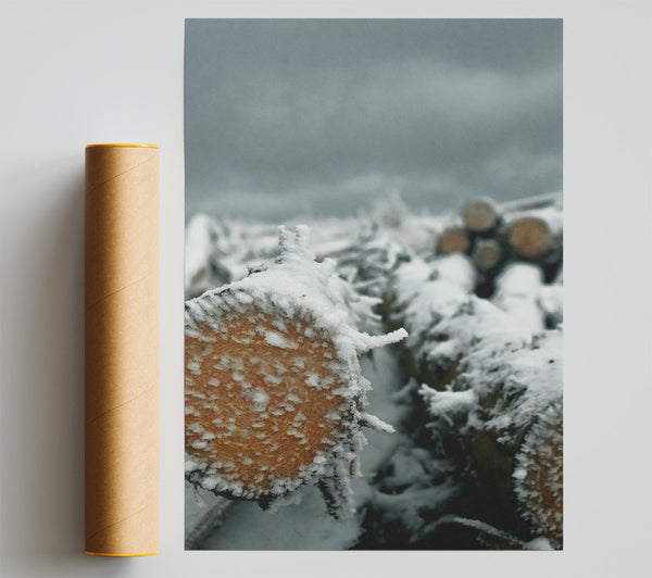White Frost On Wood Print