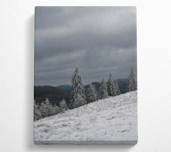  A Canvas Print of White Frosted Pines Canvas Wall Art