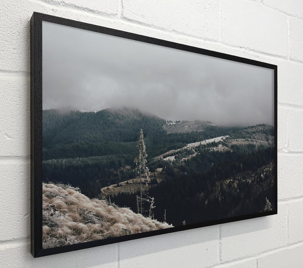 Gray Mist Over Hills