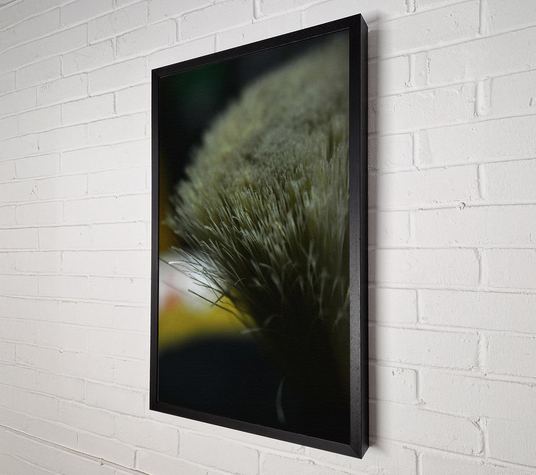  A Canvas Print of Gray Bristles Close-Up Canvas Wall Art