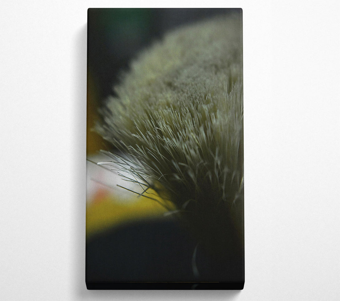  A Canvas Print of Gray Bristles Close-Up Canvas Wall Art