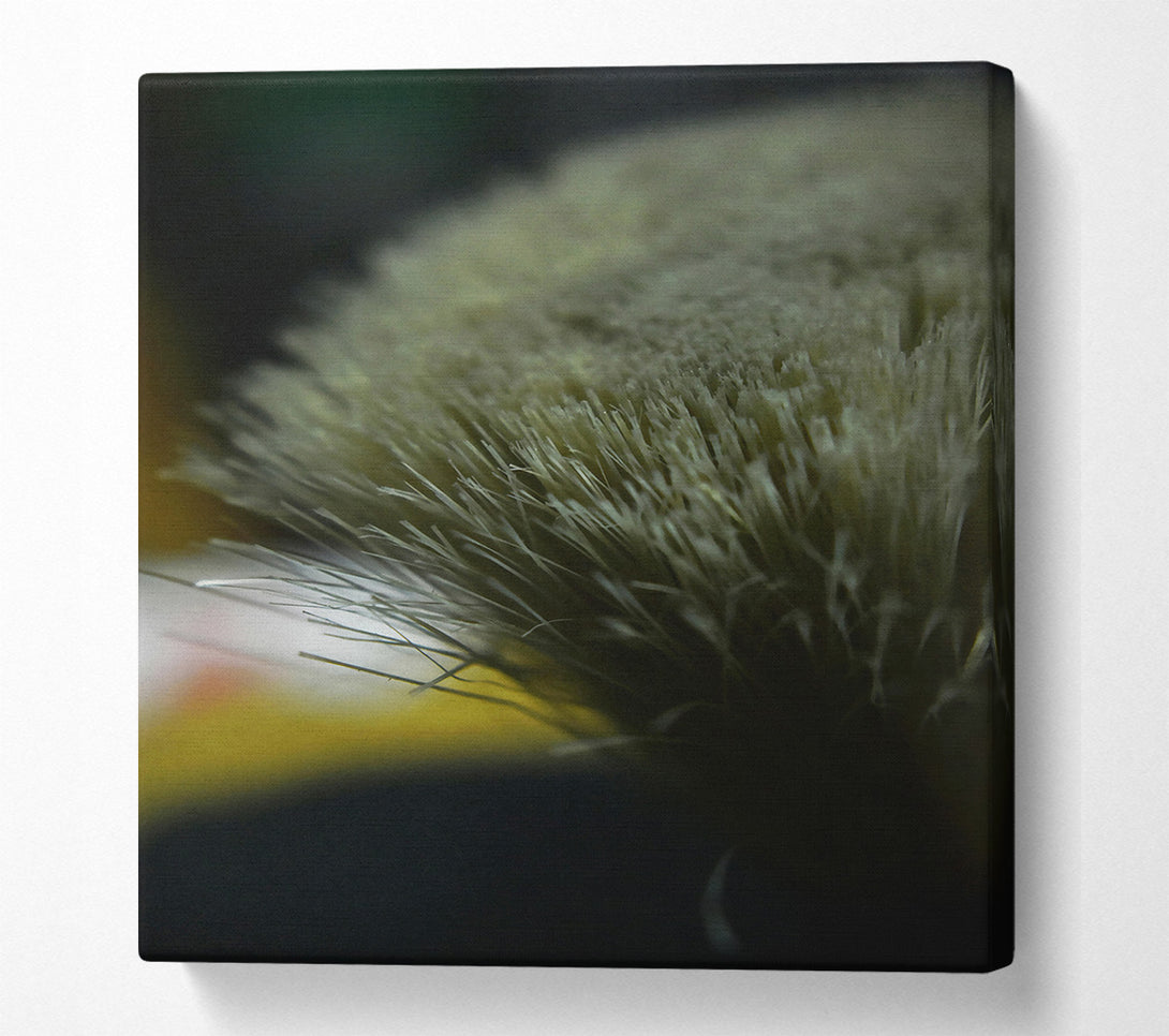  A Canvas Print of Gray Bristles Close-Up Canvas Wall Art