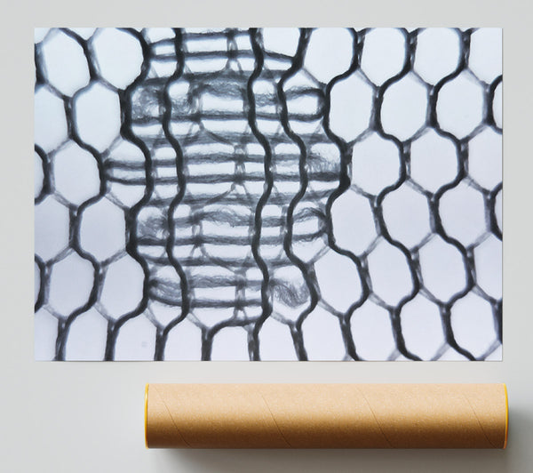 Black Woven Intertwine Poster