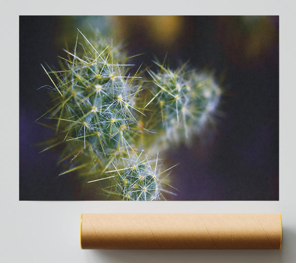 Green Prickly Blooms Giclee Print