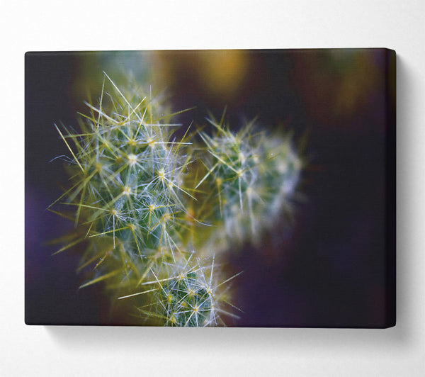  A Canvas Print of Green Prickly Blooms Canvas Wall Art