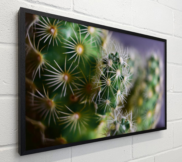 Green Prickly Clusters