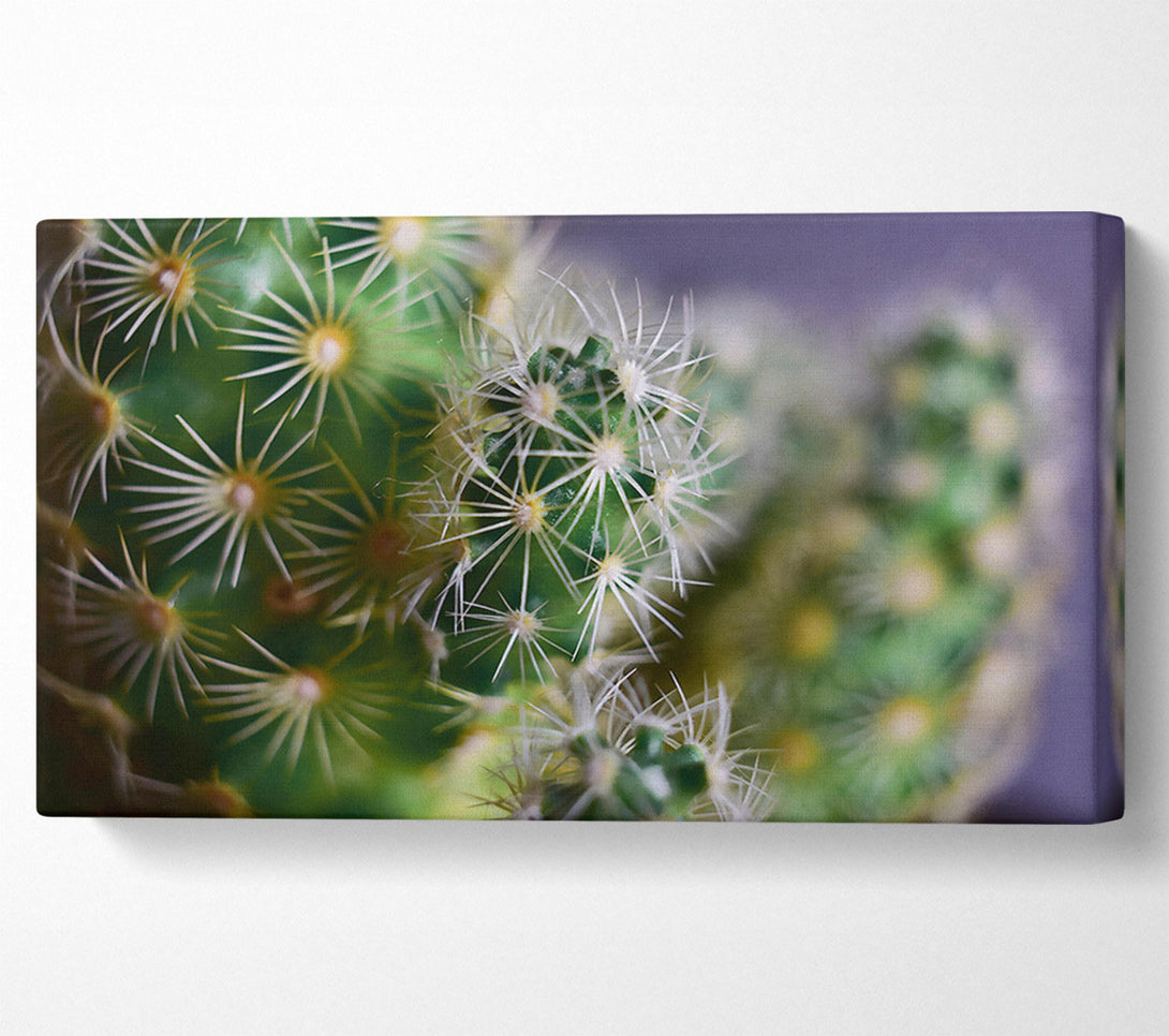  A Canvas Print of Green Prickly Clusters Canvas Art