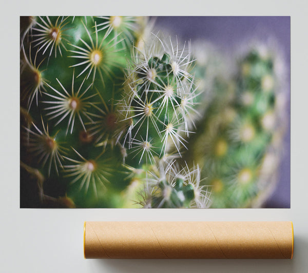 Green Prickly Clusters Print