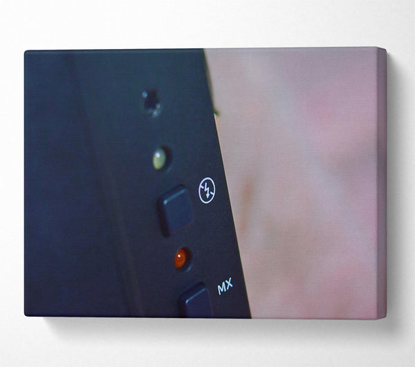  A Canvas Print of Black Flash Ready Canvas Wall Art