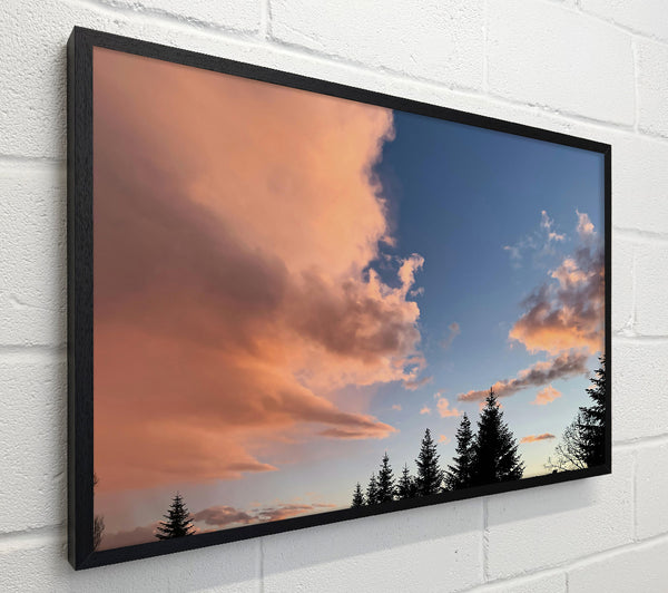 Peachy Sky Silhouettes