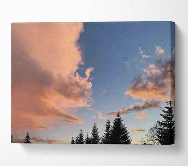  A Canvas Print of Peachy Sky Silhouettes Canvas Art