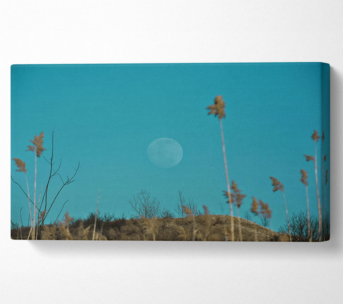  A Canvas Print of Blue Moon And Reeds Canvas Print