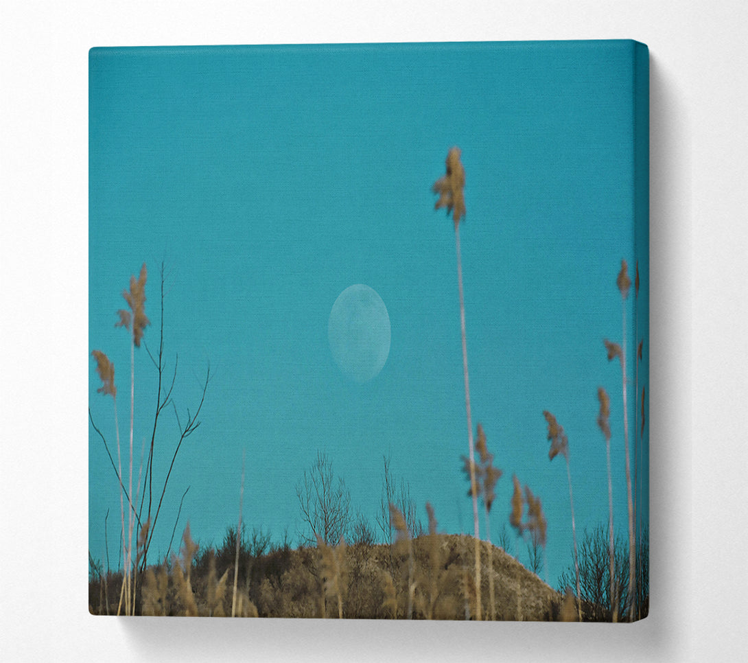  A Canvas Print of Blue Moon And Reeds Canvas Print