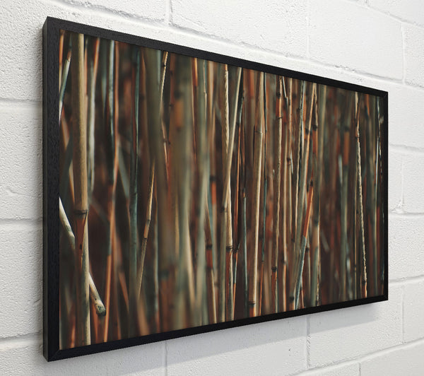 Golden Bamboo Forest