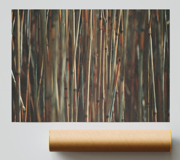 Golden Bamboo Forest Giclee Print