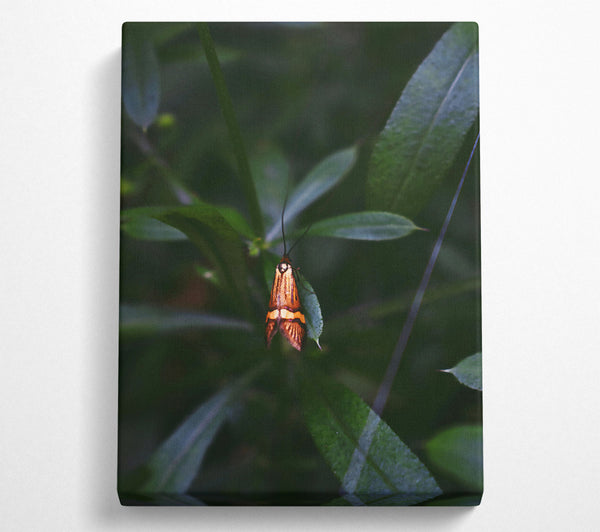  A Canvas Print of Orange Moth In Green Canvas Wall Art