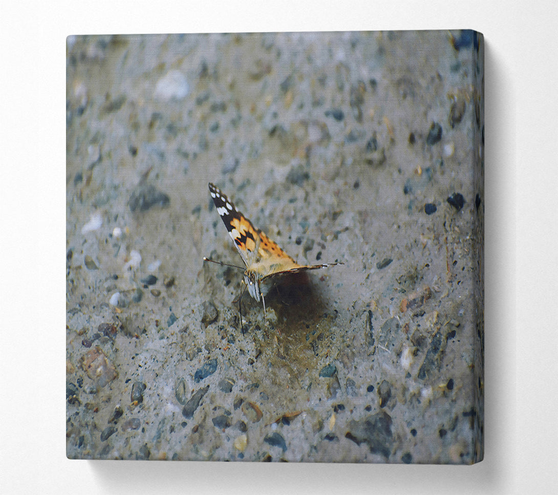  A Canvas Print of Orange On Grey Concrete Canvas Wall Art