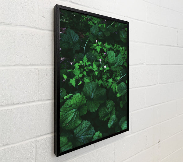 Emerald Green Undergrowth