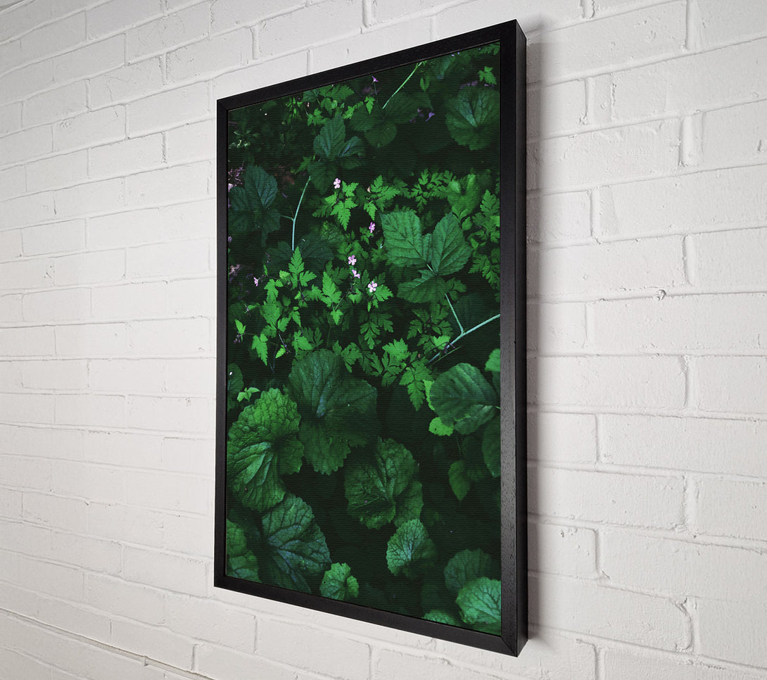  A Canvas Print of Emerald Green Undergrowth Canvas Wall Art