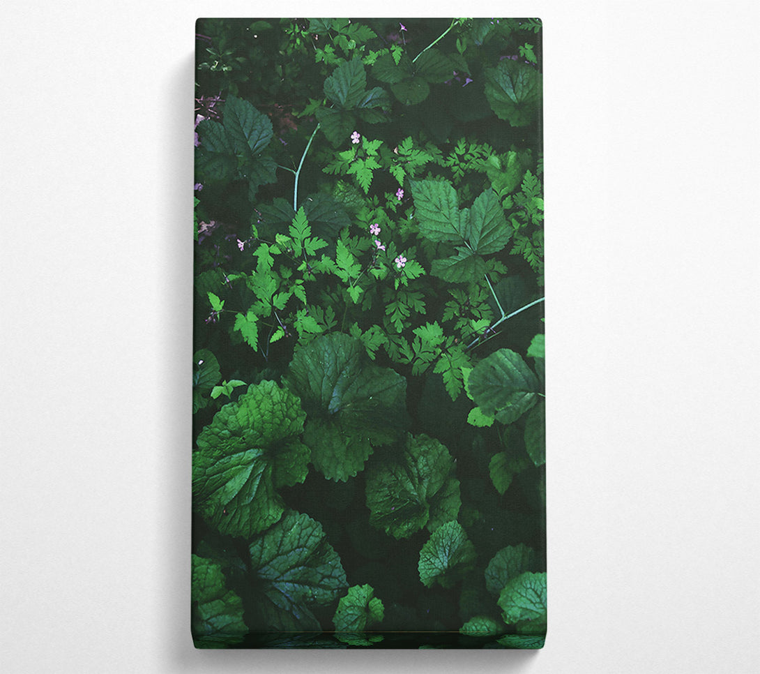  A Canvas Print of Emerald Green Undergrowth Canvas Wall Art