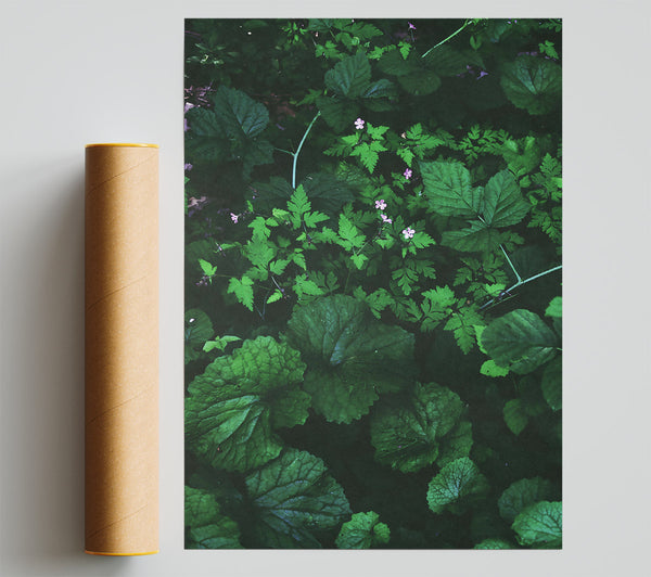 Emerald Green Undergrowth Giclee Print