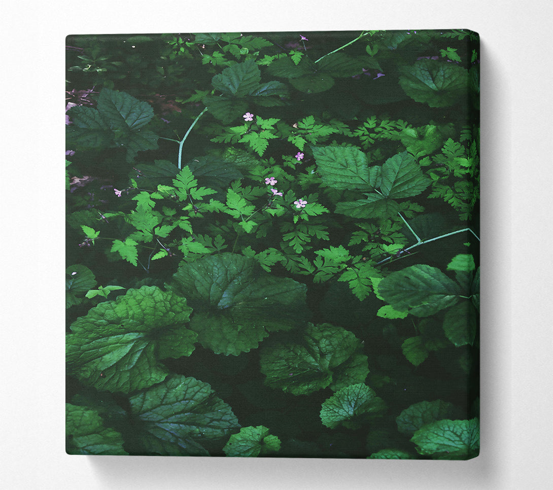  A Canvas Print of Emerald Green Undergrowth Canvas Wall Art