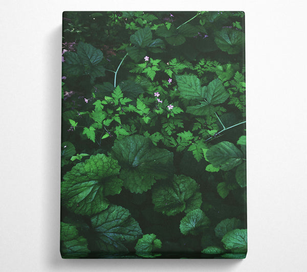  A Canvas Print of Emerald Green Undergrowth Canvas Wall Art