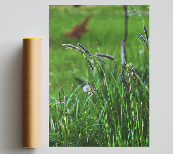 Purple Grass In Green Field Print