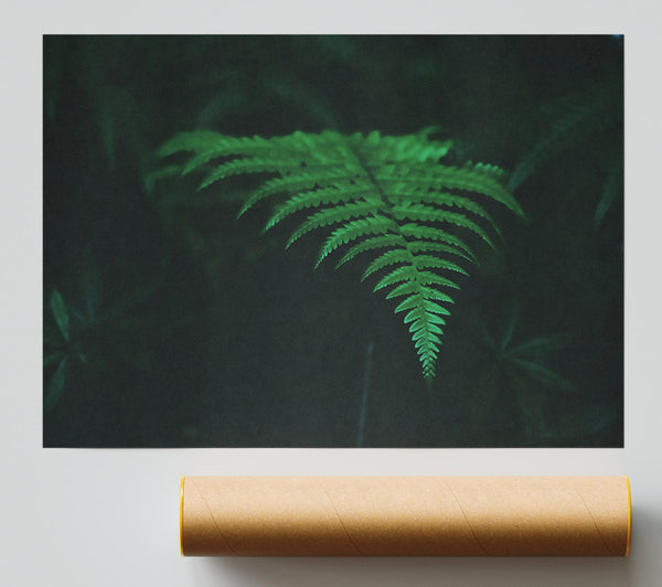 Emerald Green Fern Giclee Print