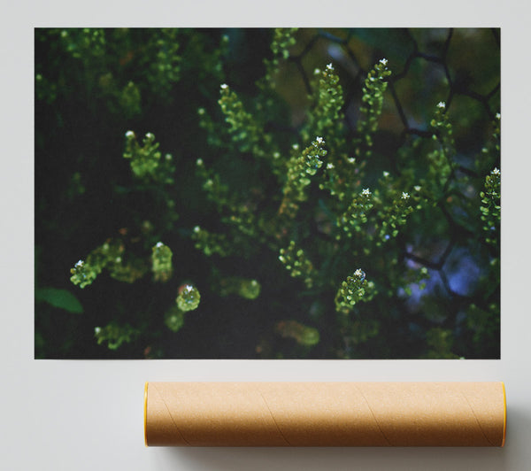 Emerald Green Blossoms Giclee Print