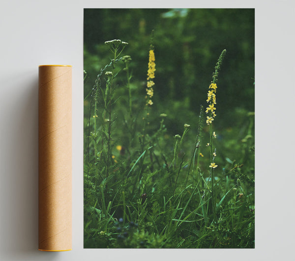 Green & Yellow Blooms Poster
