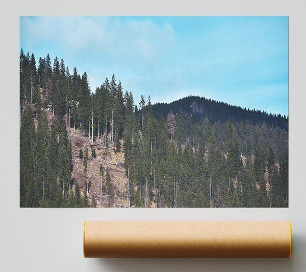 Blue Sky Evergreen Ridge Poster