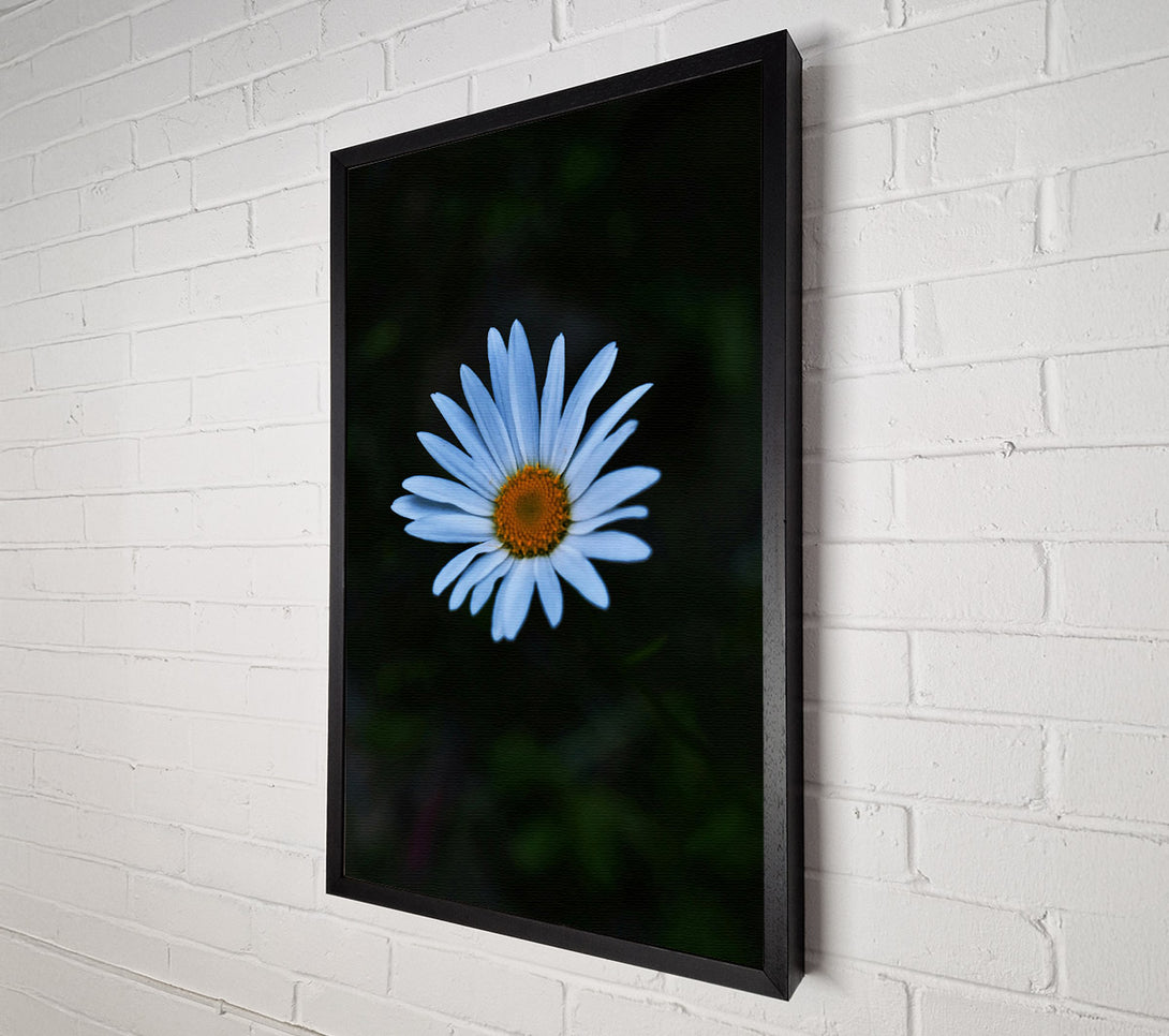  A Canvas Print of Blue Daisy Bloom Canvas Wall Art