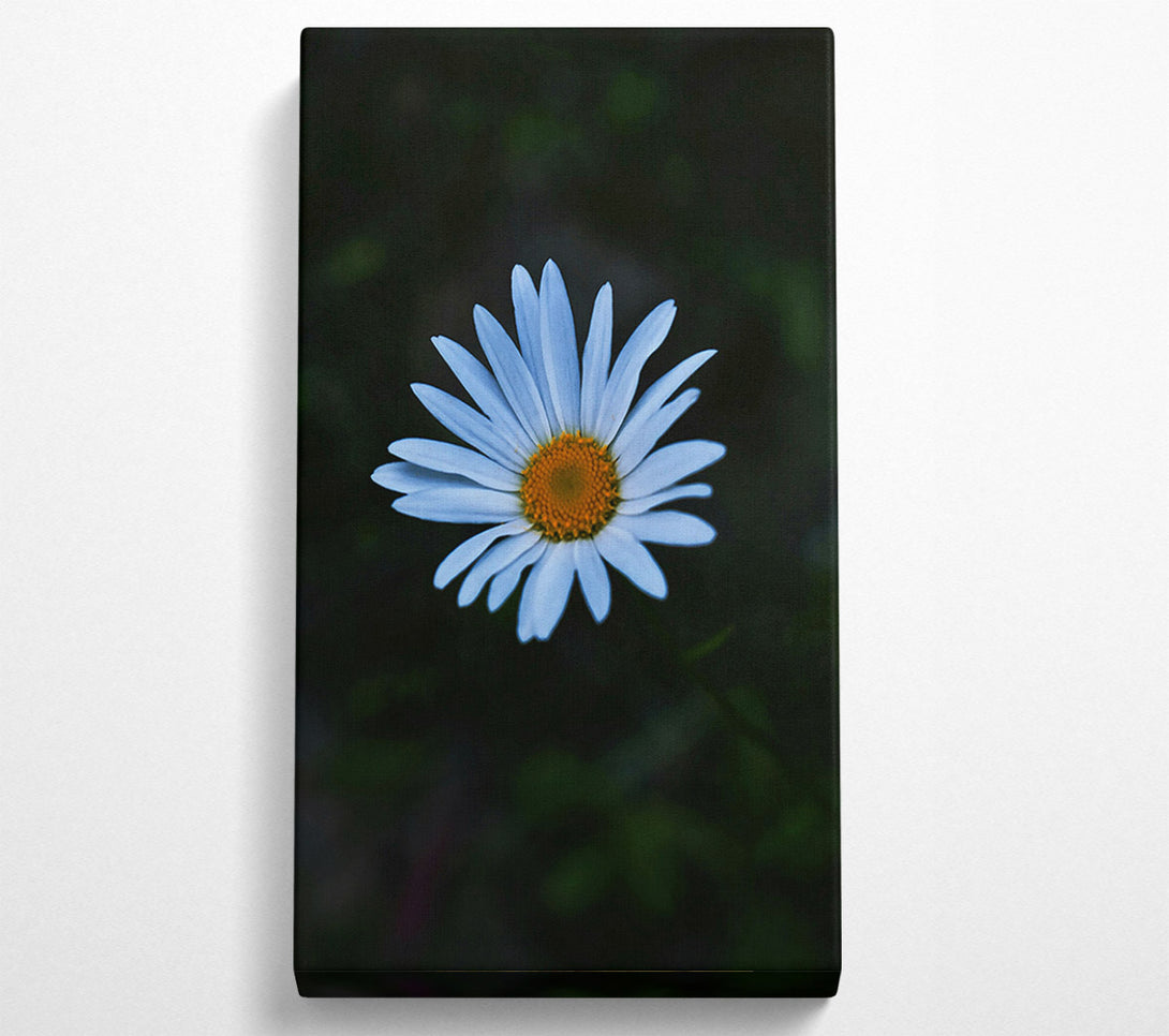  A Canvas Print of Blue Daisy Bloom Canvas Wall Art