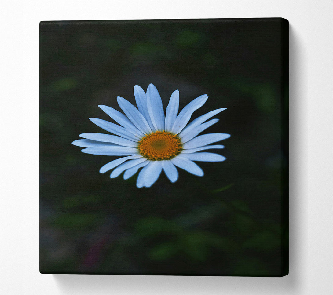  A Canvas Print of Blue Daisy Bloom Canvas Wall Art