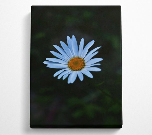  A Canvas Print of Blue Daisy Bloom Canvas Wall Art